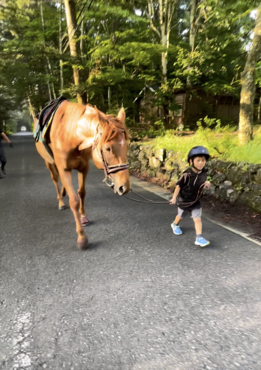 軽井沢の豊かな自然の中を引き馬で一緒にお散歩できます